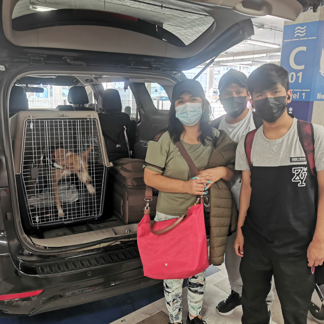 Traslado Aeropuerto VAN Privada (de 1 a 5 pasajeros)